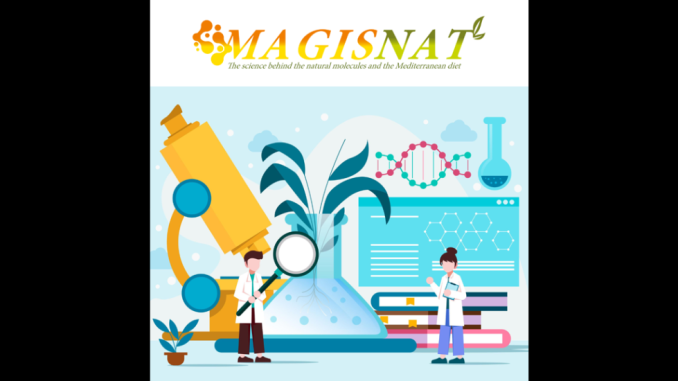 Magisnat